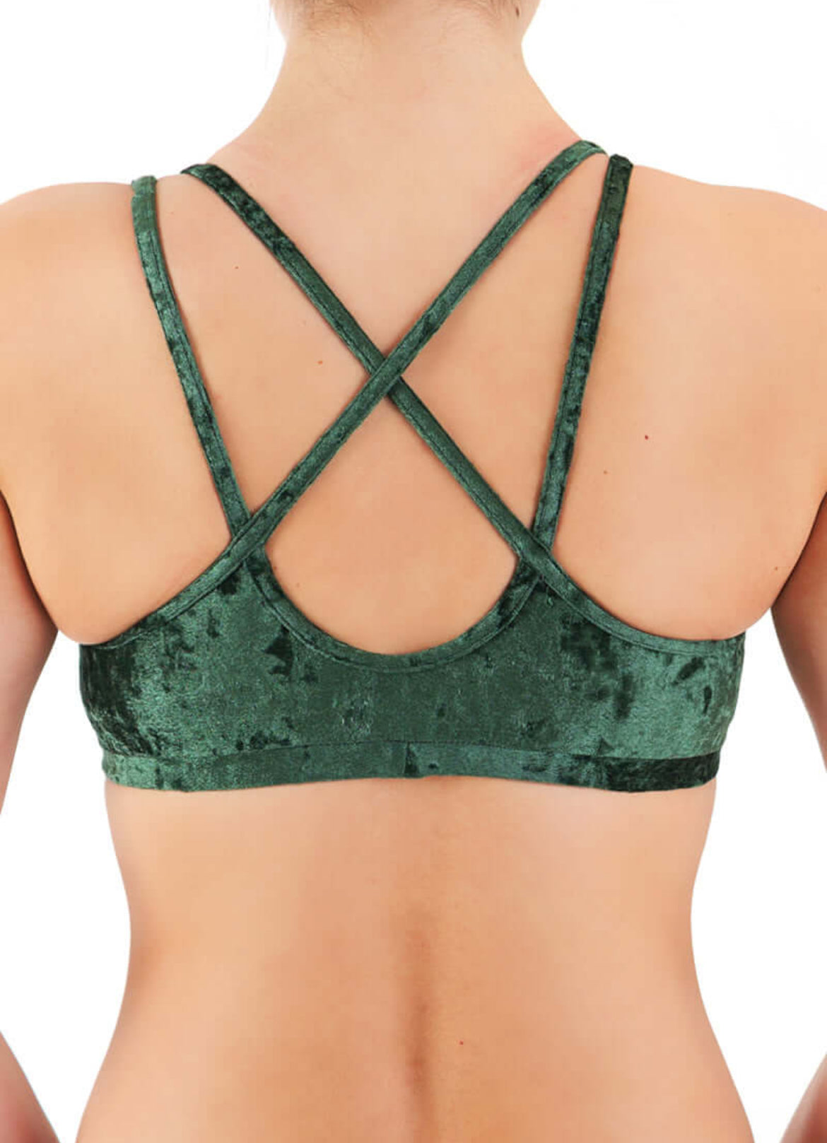 Dragonfly Nicole Velvet Top