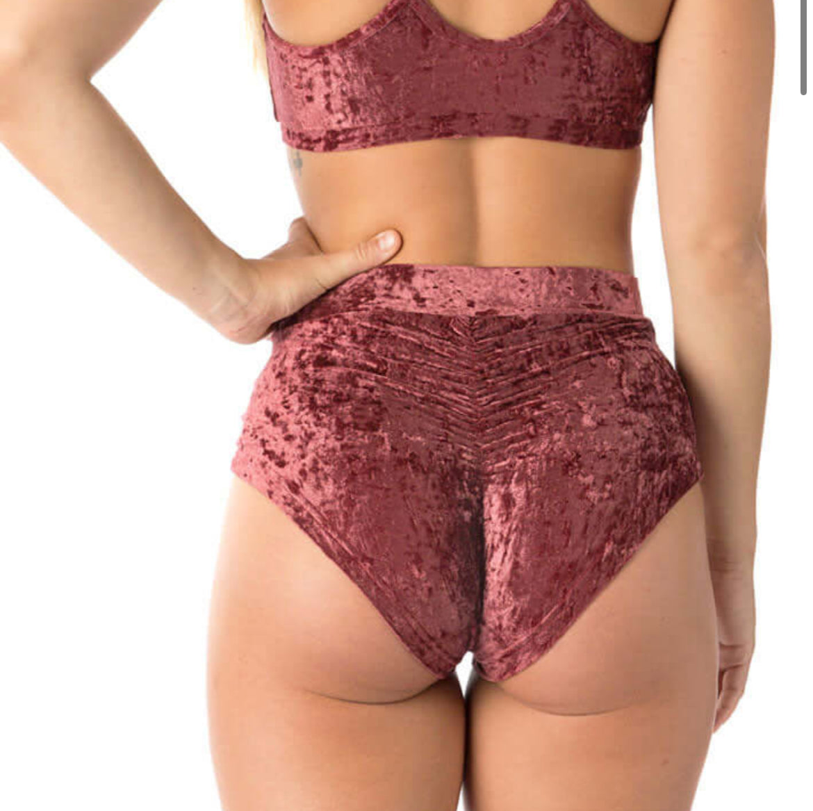 Dragonfly Lola Velvet Shorts