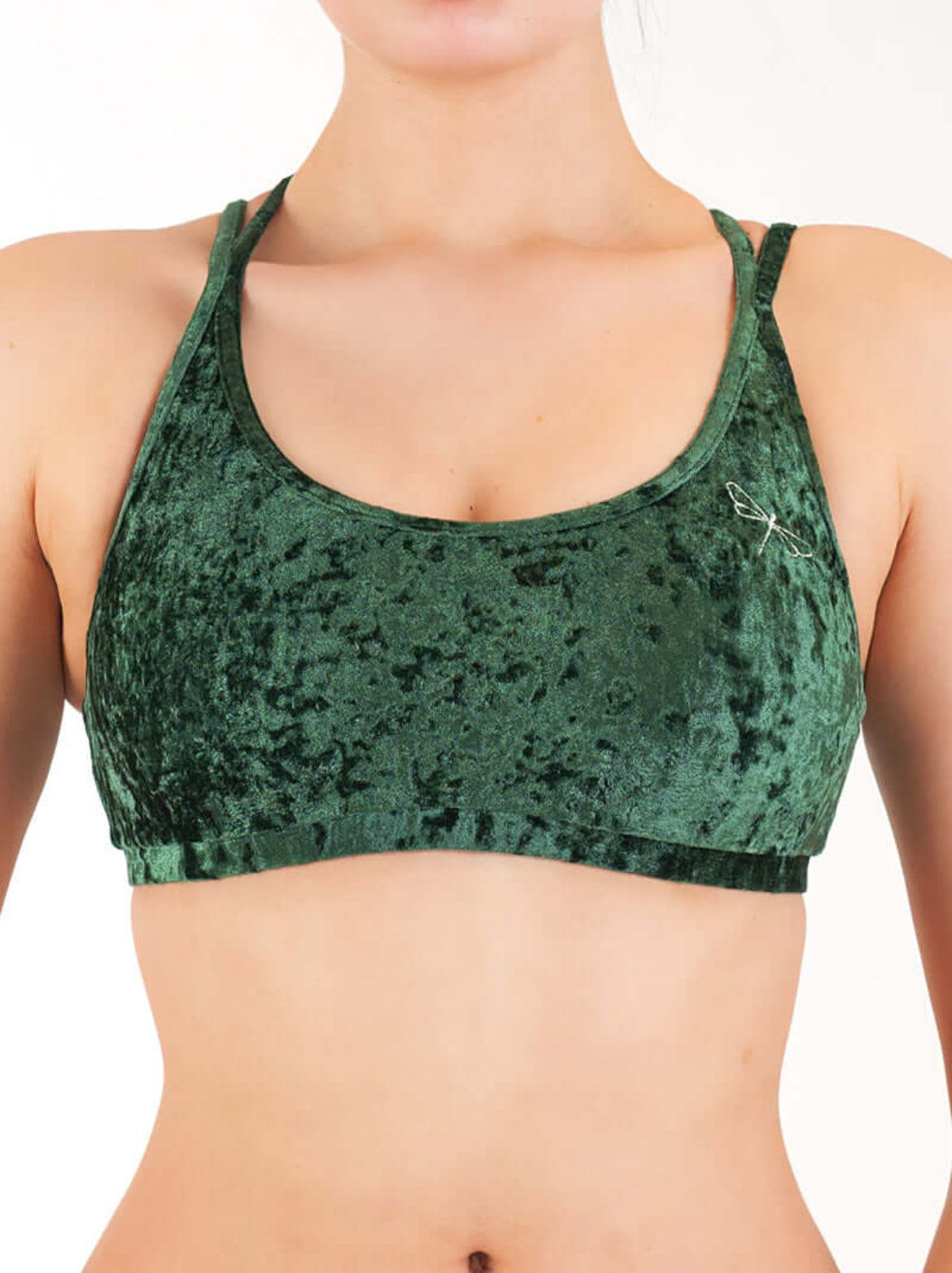 Dragonfly Nicole Velvet Top