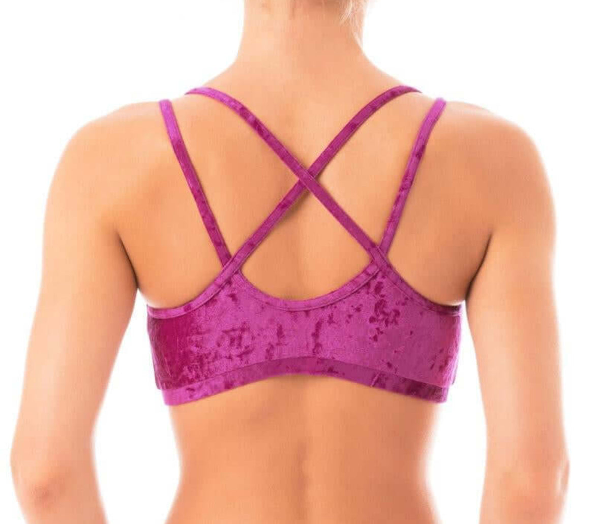 Dragonfly Nicole Velvet Top