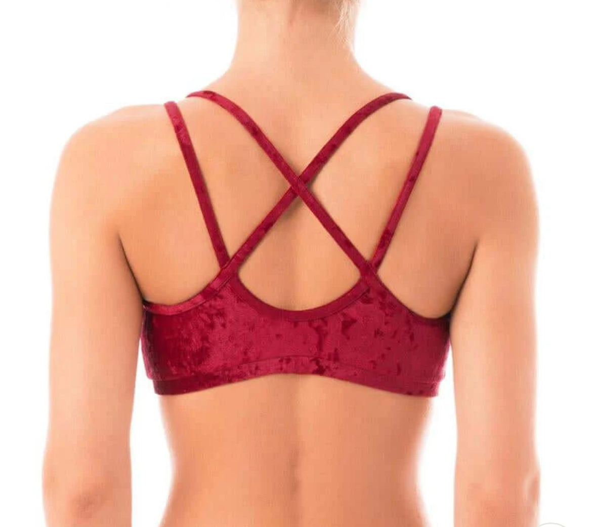 Dragonfly Nicole Velvet Top